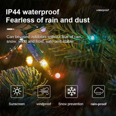 LED圣诞灯 - HCP175 F5拉拉泡灯串